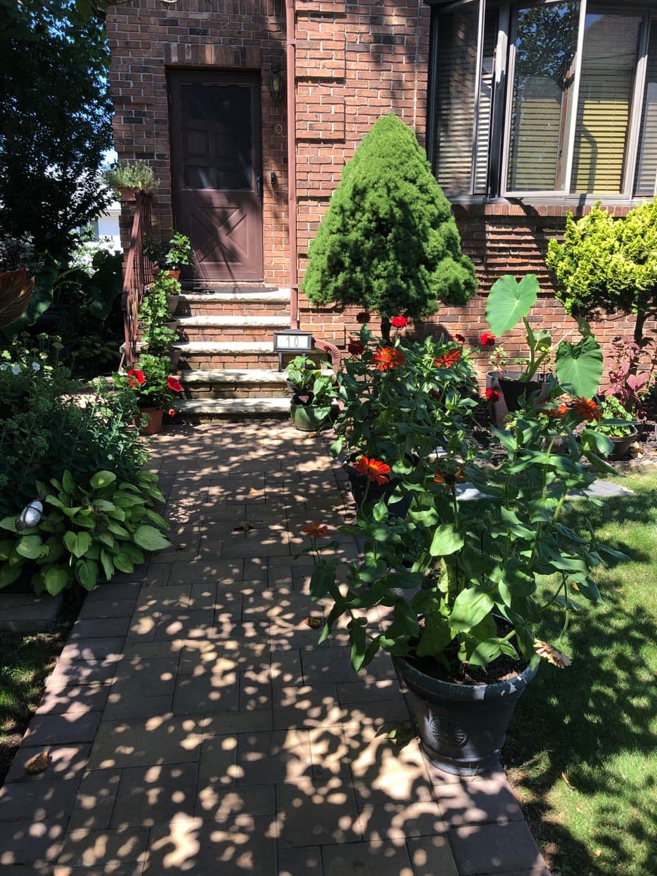 Grandpa's Garden