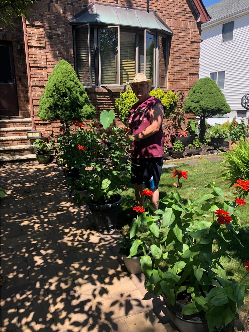 Grandpa's Garden