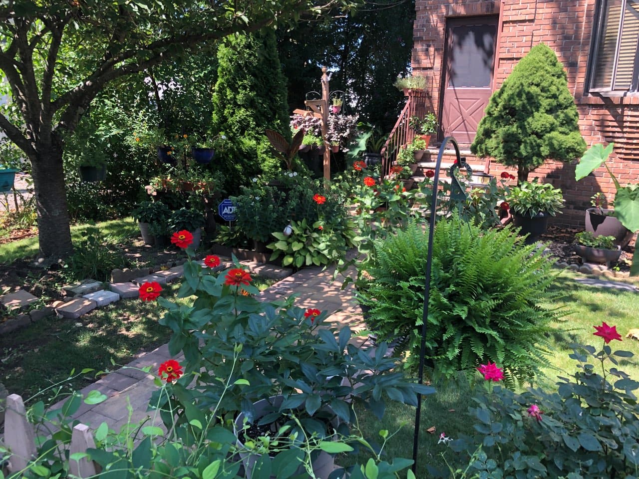 Grandpa's Garden